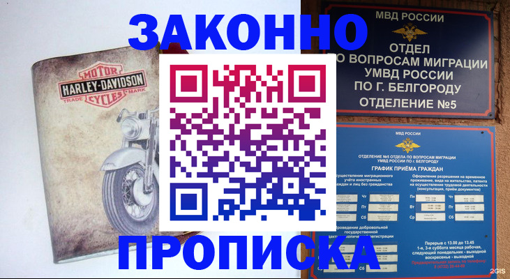 прописка для школы в Удомле